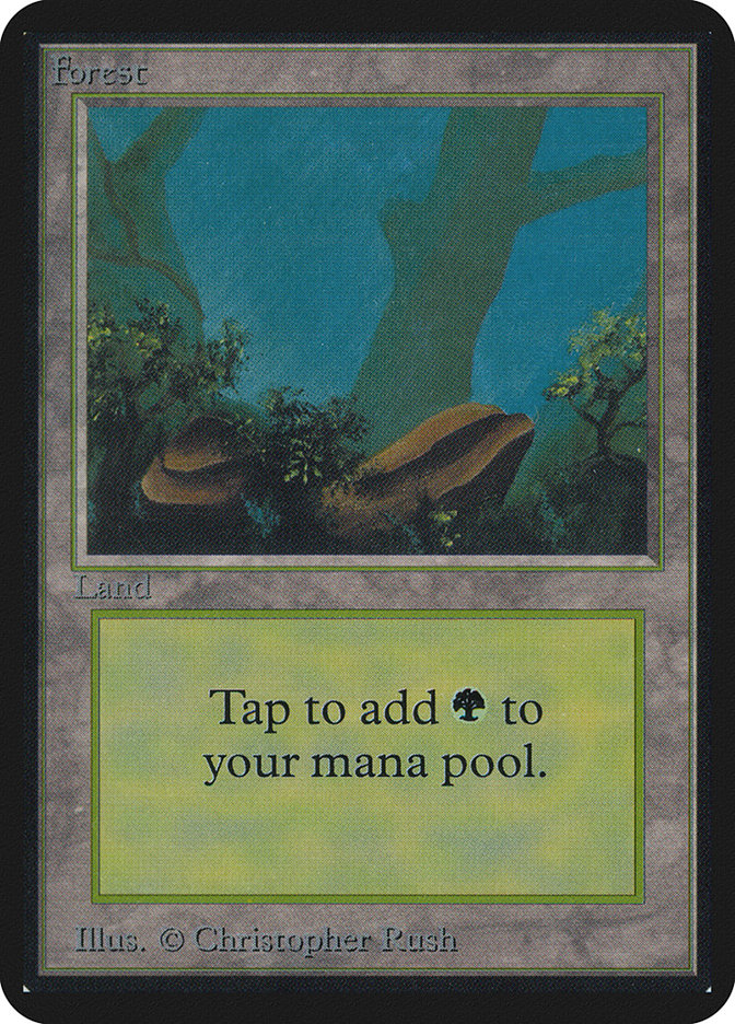 Forest - Card Image